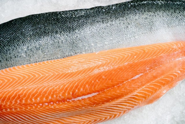 salmon. ingrediente saludable