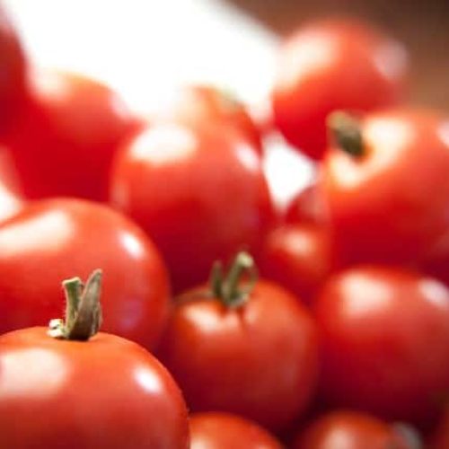 tomates. salsa de tomate casera